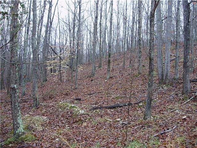1st image of 6 Haylee Dr Lot 6
