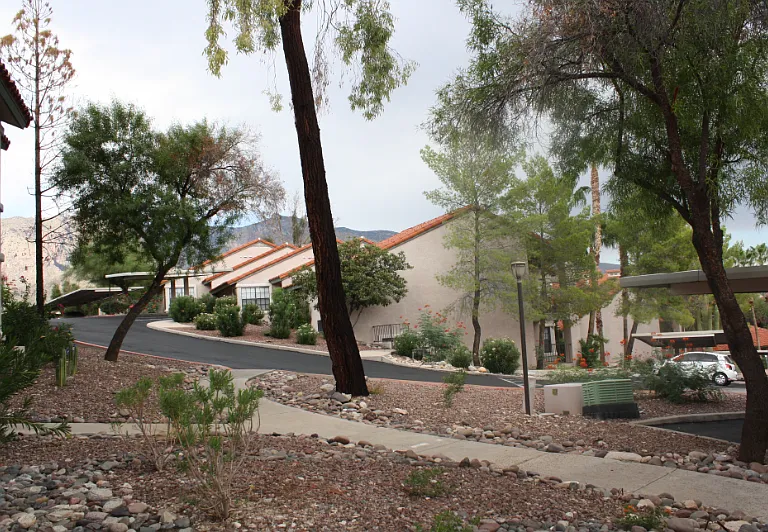 6451 N Tierra De Las Catalinas #69 — Photo 19