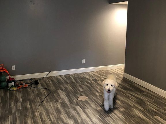 3rd image of 7973 San Cosme Dr