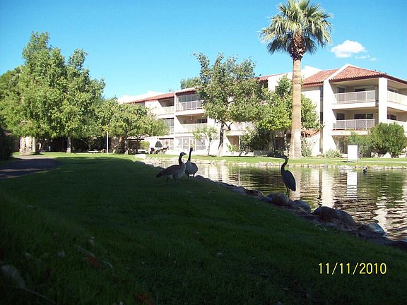 Lake Veiw