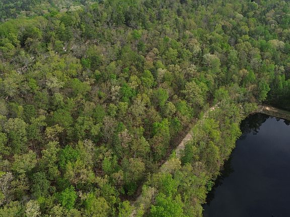 2nd image of 595 Ridgeview Lake Rd