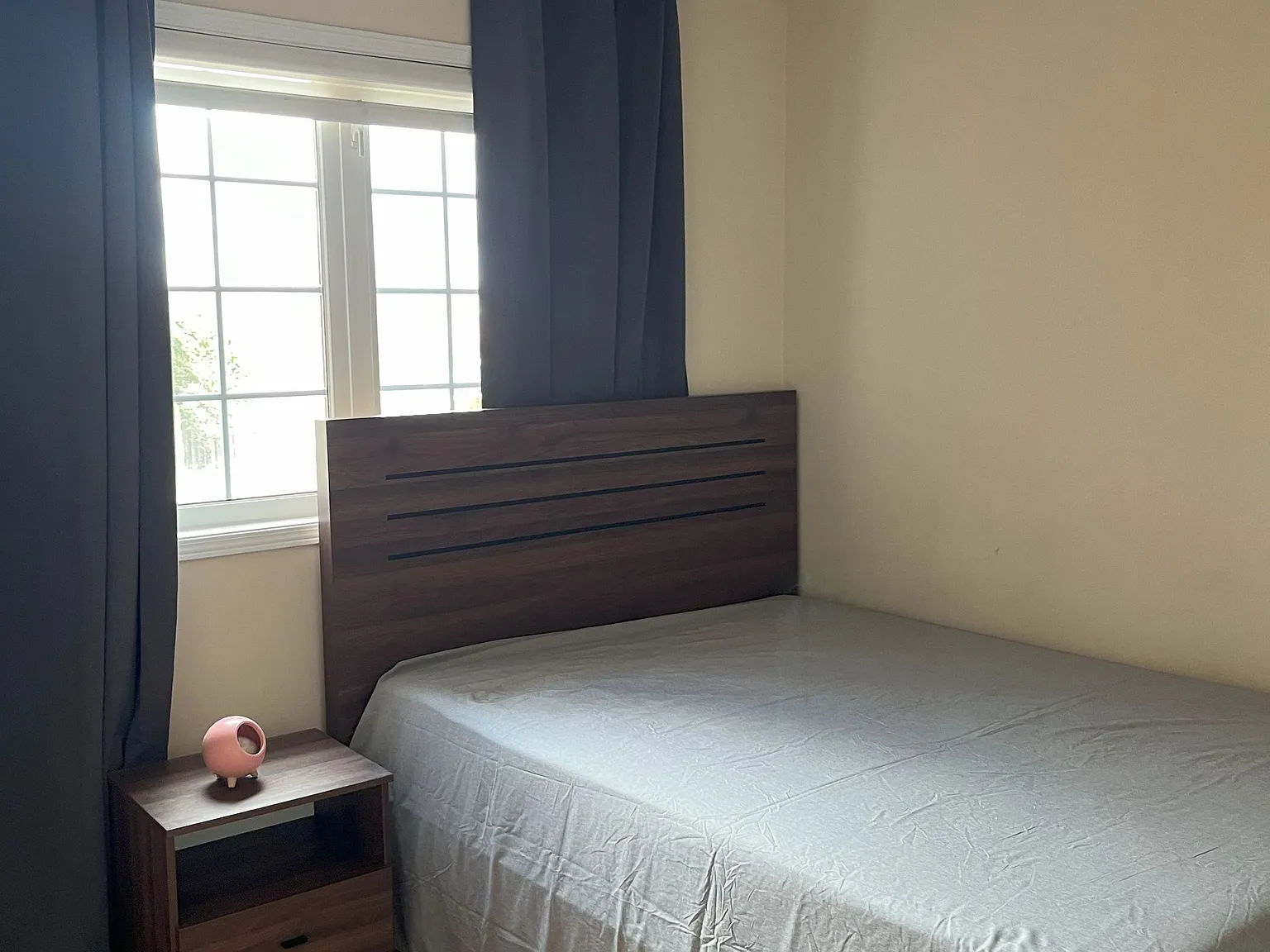 1 bed, $1,000 — Photo 4