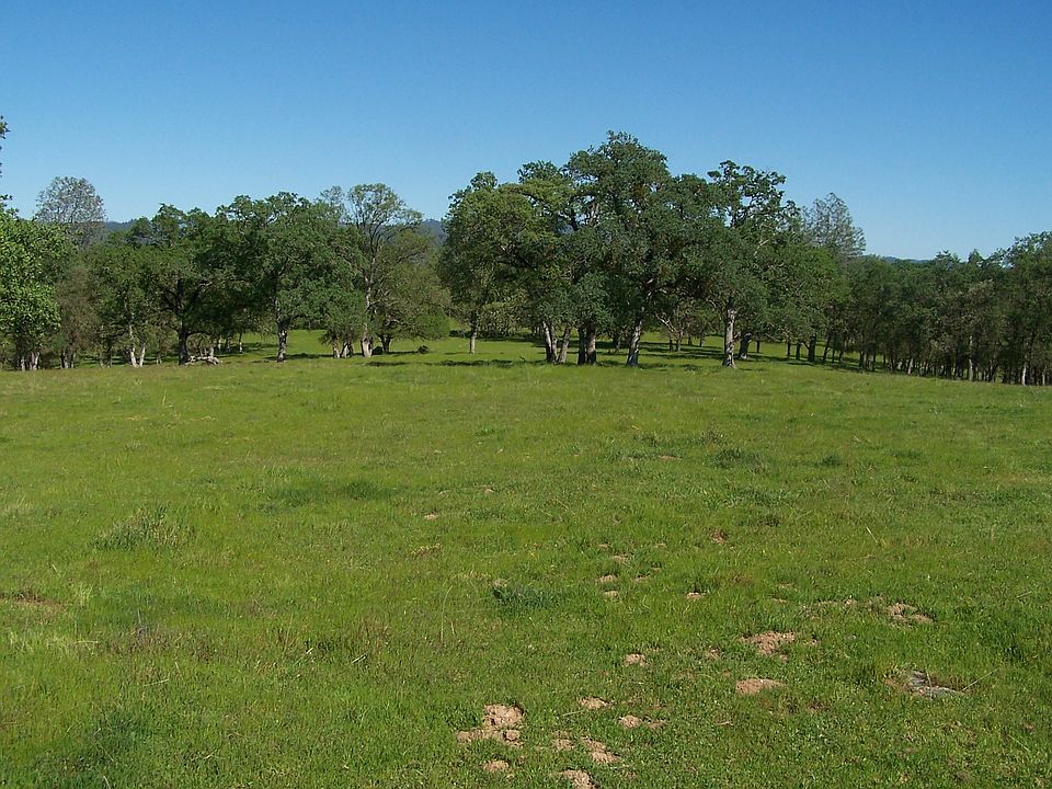 1st image of Central Hill Road