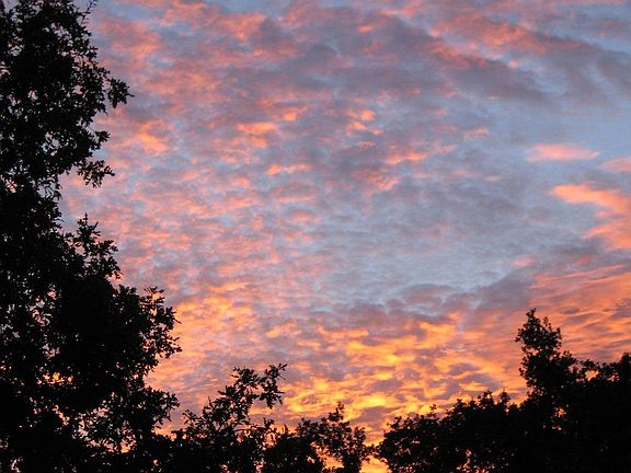 Sunset from our backyard