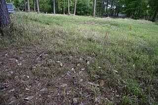 2nd image of 9176 Chunchula Georgetown Rd Lot 2