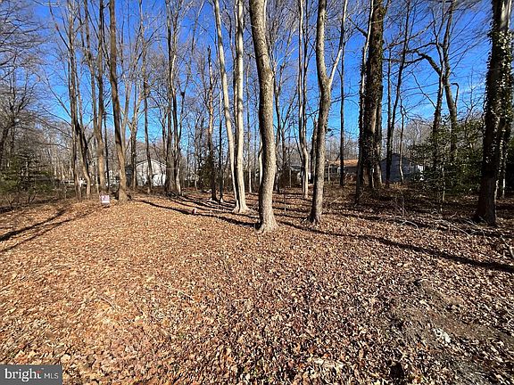 2nd image of Holly Neck Rd