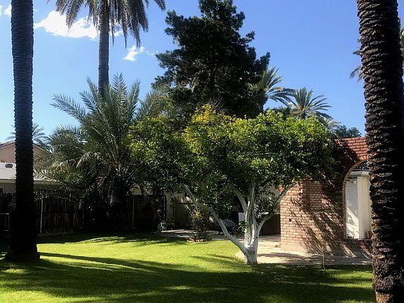 Lush irrigated back yard.