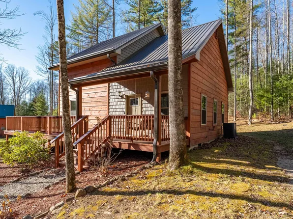 1769 Dennis Cove Rd, Hampton, TN 37658