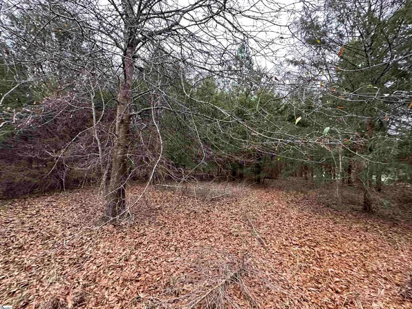 100 Black Duck Ln, Wellford, SC 29385