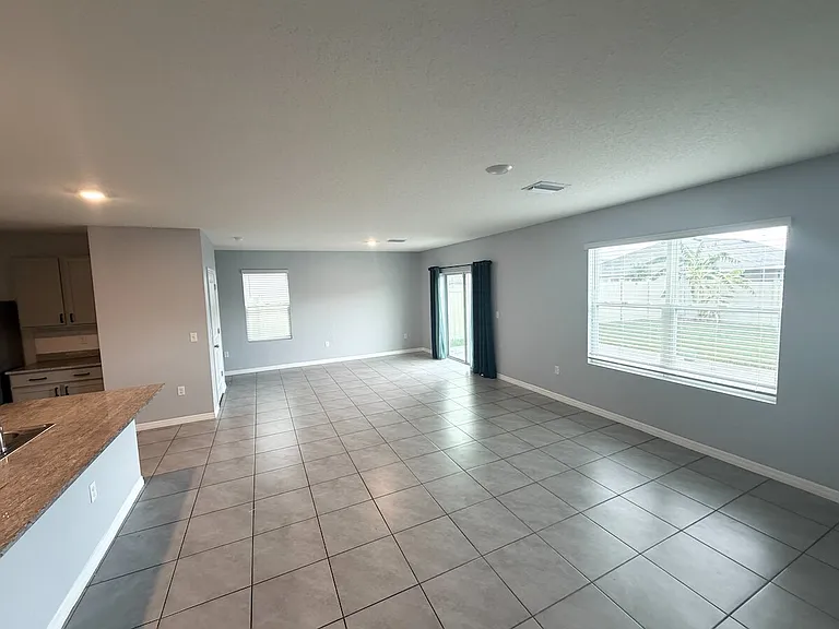 17029 Blister Wing Dr — Photo 16