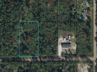 5576 Palm Ave, Bunnell, FL 32110