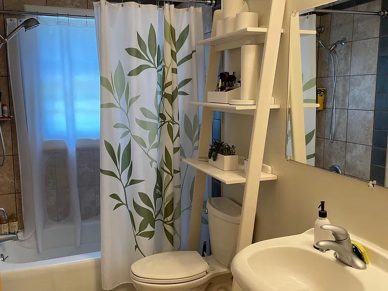 Bathroom with large linen closet.