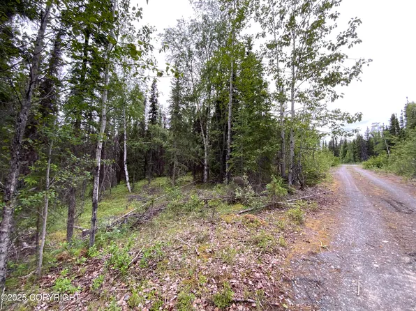 33555 New Don St, Soldotna, AK 99669