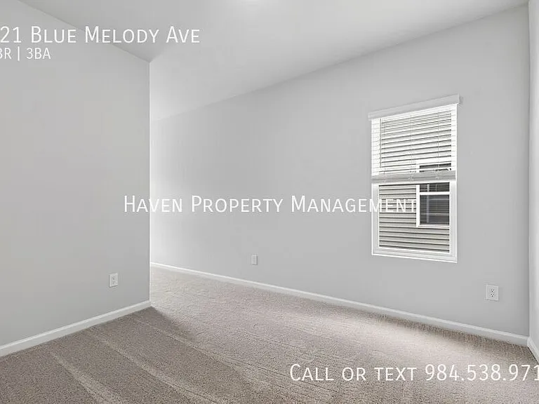 121 Blue Melody Ave — Photo 19