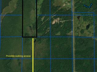 County Road 62, Effie, MN 56639