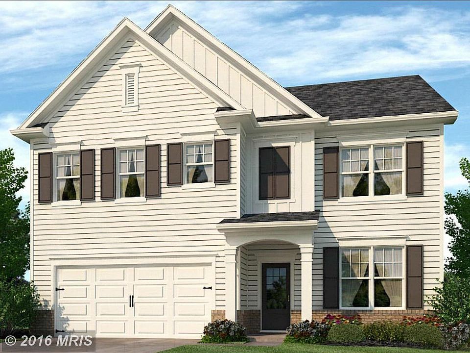 Welcome to Blue Ridge Shadows