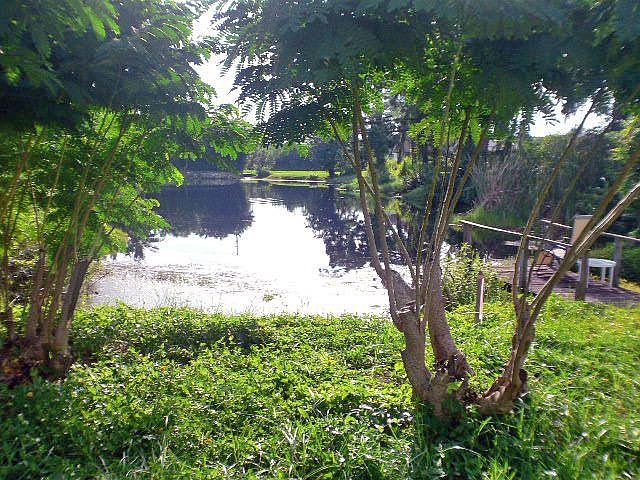 dockside lakeview