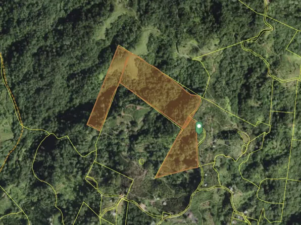 Bo Portillo Carr #129, Adjuntas, PR 00601