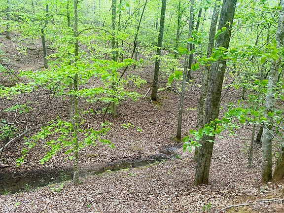 3rd image of 0 Polk County Line Rd
