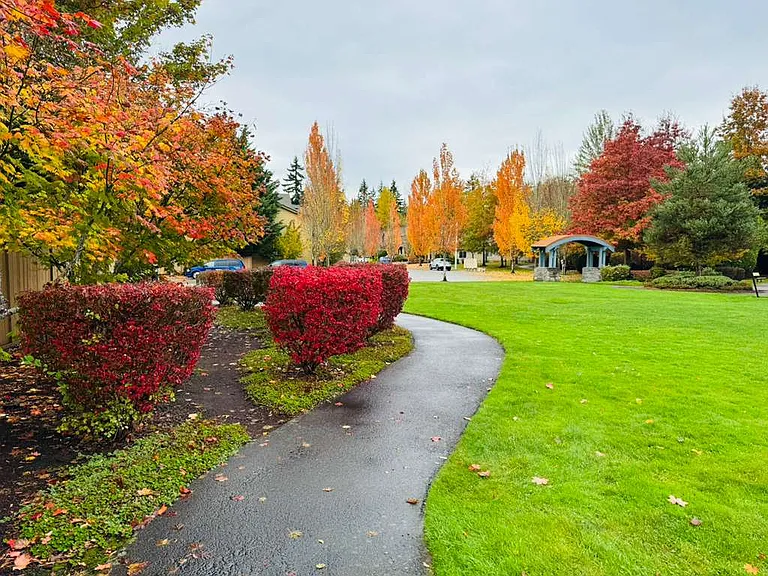Community Park
