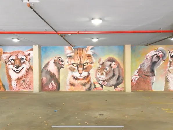 880 Rogers Avenue image 16 of 21