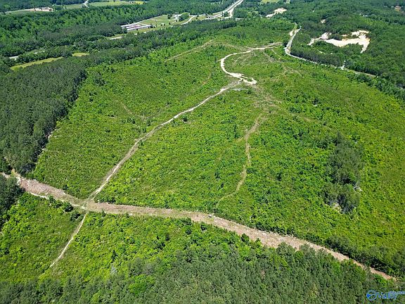 3rd image of Bethel Rd