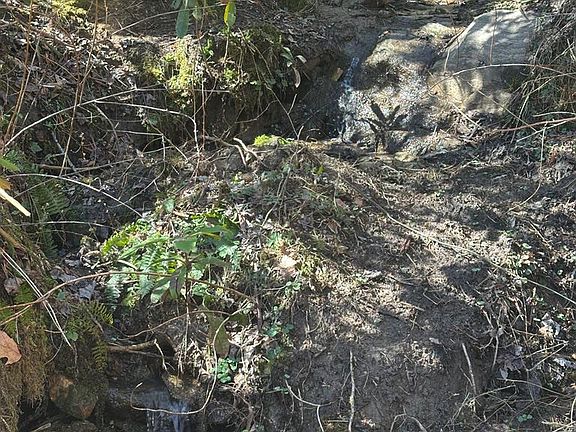 4th image of 12 Chigger Rdg