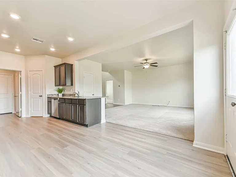 1123 Rare Fancy Dr — Photo 14