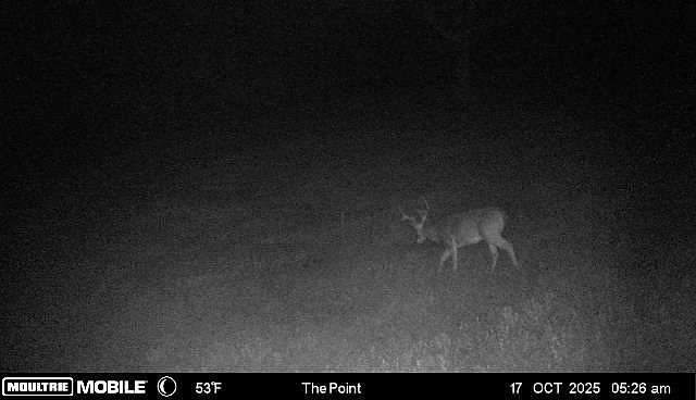 85th image of 2846 Fuller Hollow Rd
