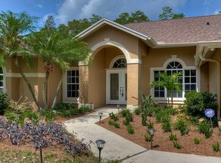 19136 Rogers Rd, Odessa, FL 33556