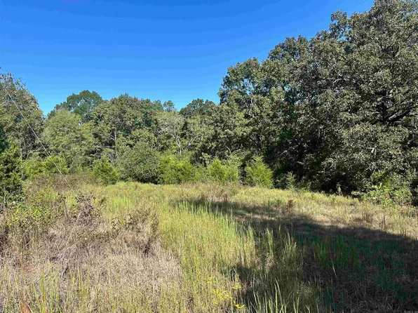 0 Bryant Ln, Conway, AR 72034