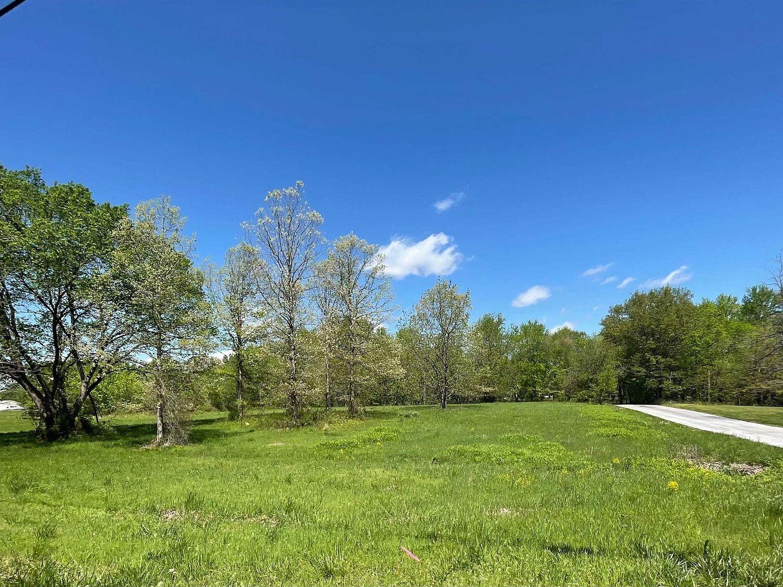 0 Old North Rd, Christopher, IL 62822 Zillow