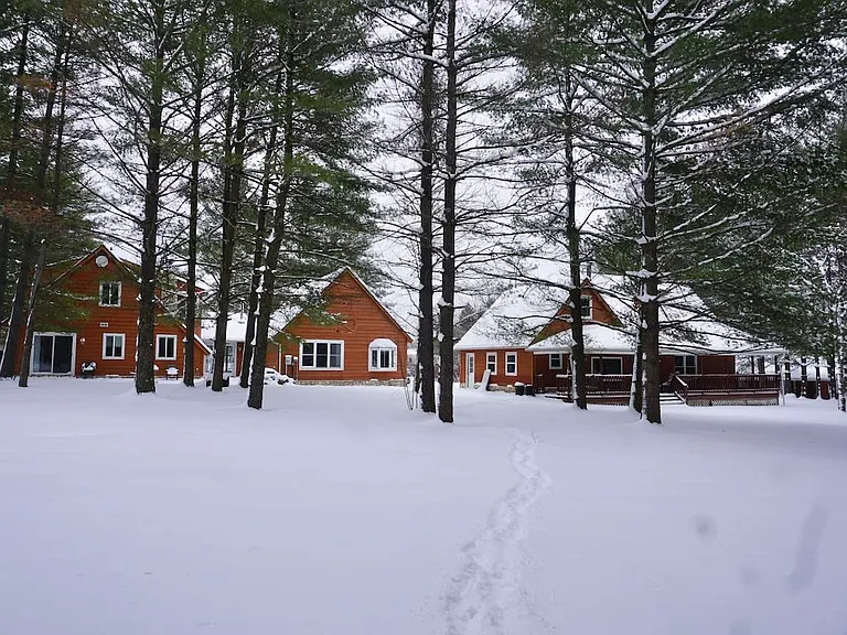 Rear view of house on left & garage on right.