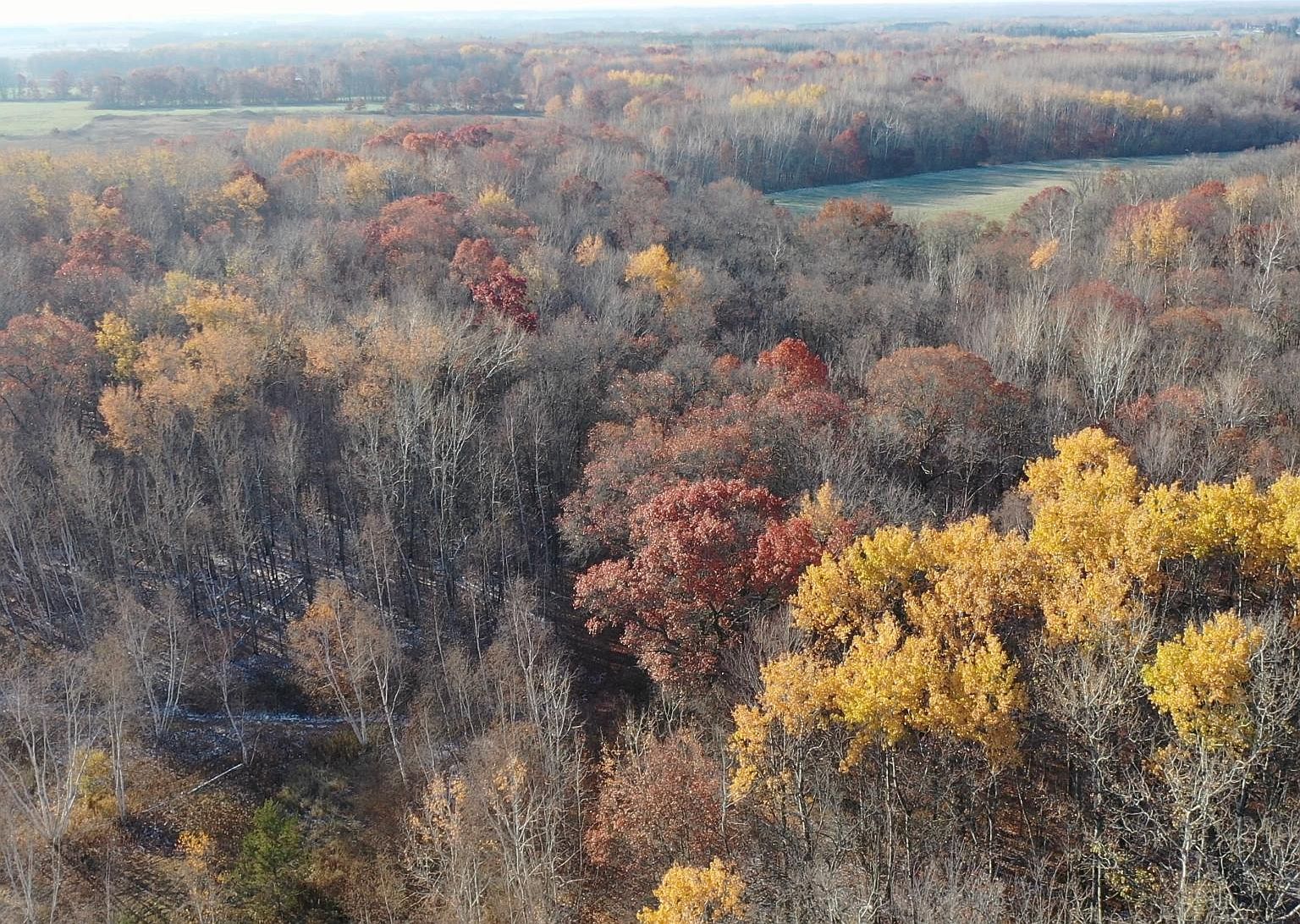 County Road 44, Brainerd, MN 56401 Zillow