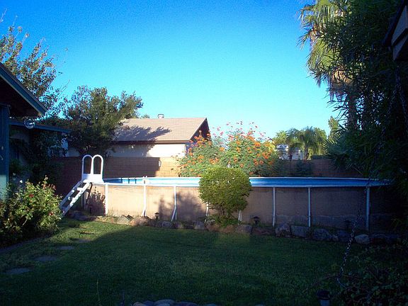 pool & backyard