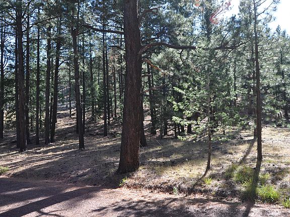 3rd image of 37 N CRN 1330 Road #19