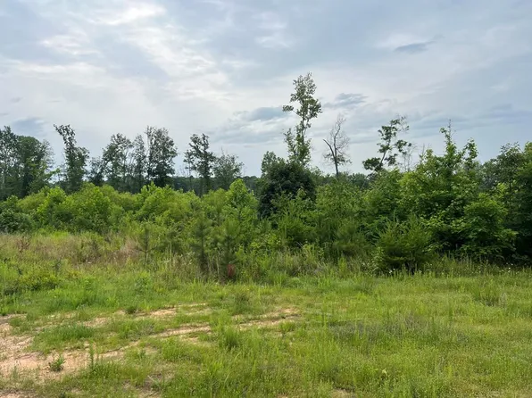 1100 Drybridge Rd, Scottsburg, VA 24589