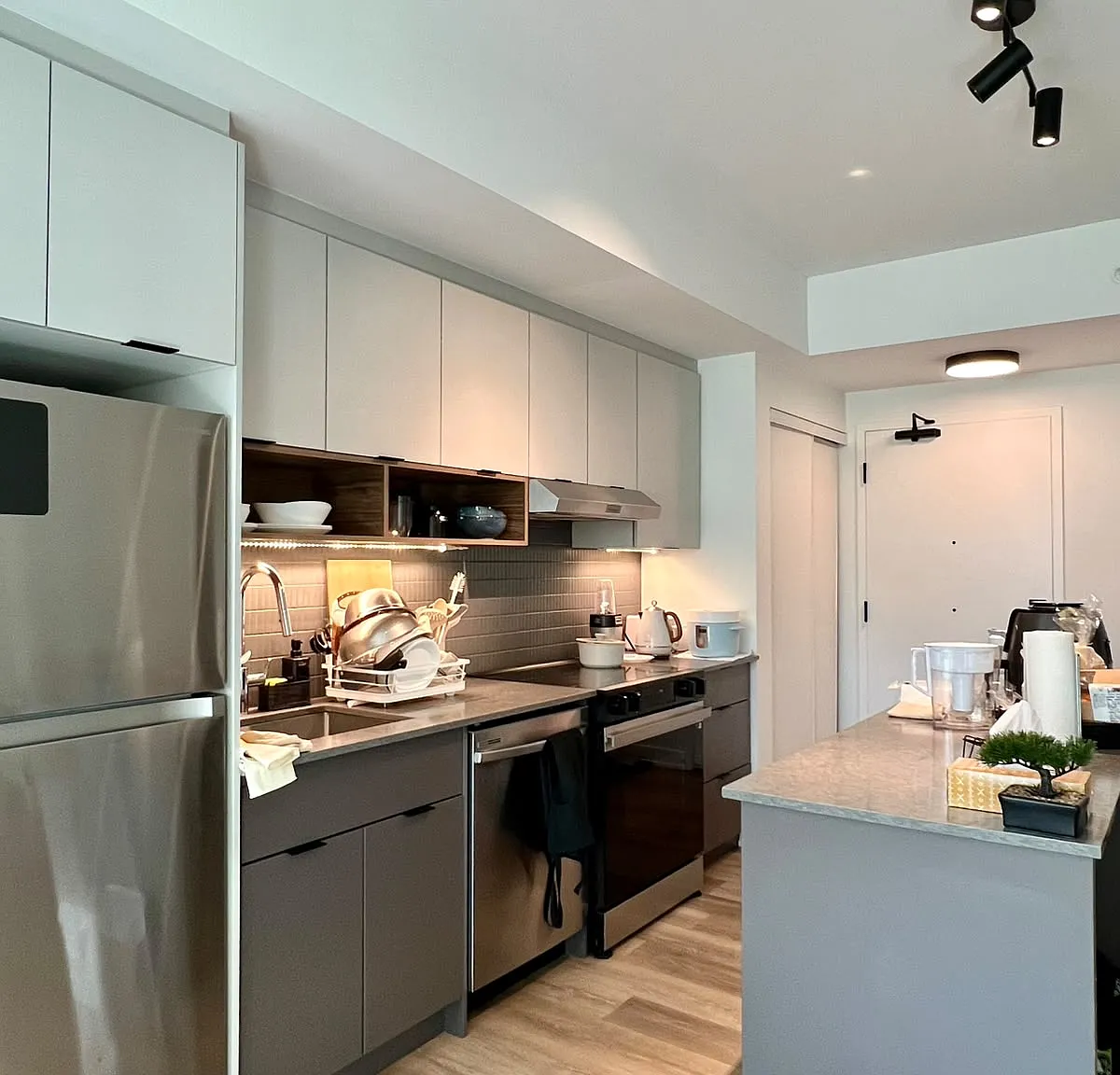 1 bed, 548 sqft, $1,899 — Photo 2