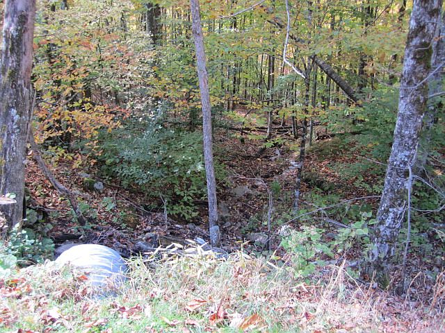 2nd image of 159 Hornbeam Rd