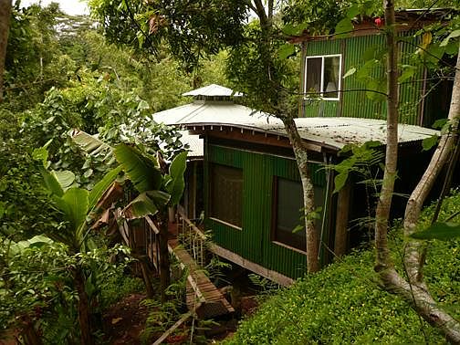 Main house in rear, lanai to right, from driveway and walkway to house.