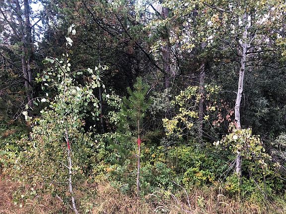 4th image of 168 Lake Trail Dr