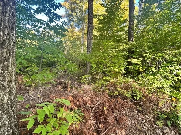 0 N Shore Rd #13, Harrisville, NY 13648