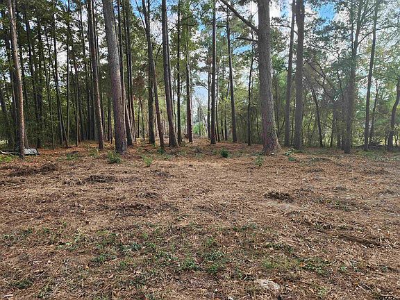 4th image of 371 County Road 4152