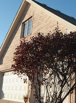 3rd image of 4616 Blarney Dr