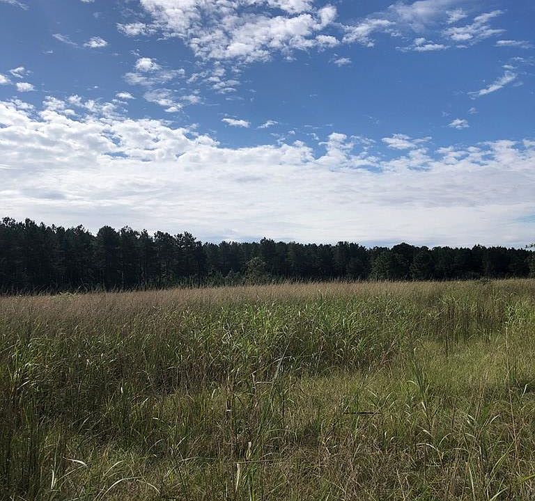 2nd image of Mill Creek Rd