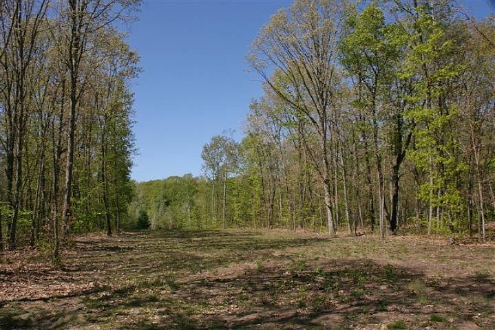 1st image of 130th Ave