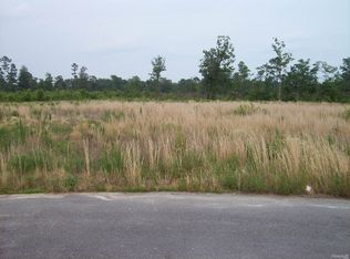 100 Bitterwood Pl, Goldsboro, NC 27530