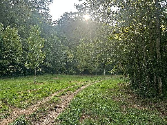 5th image of 915 Chestnut Valley Rd