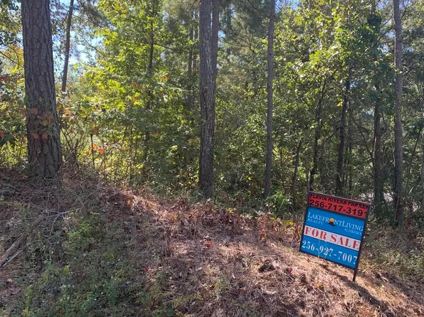 1 Pine Hill Dr, Centre, AL 35960