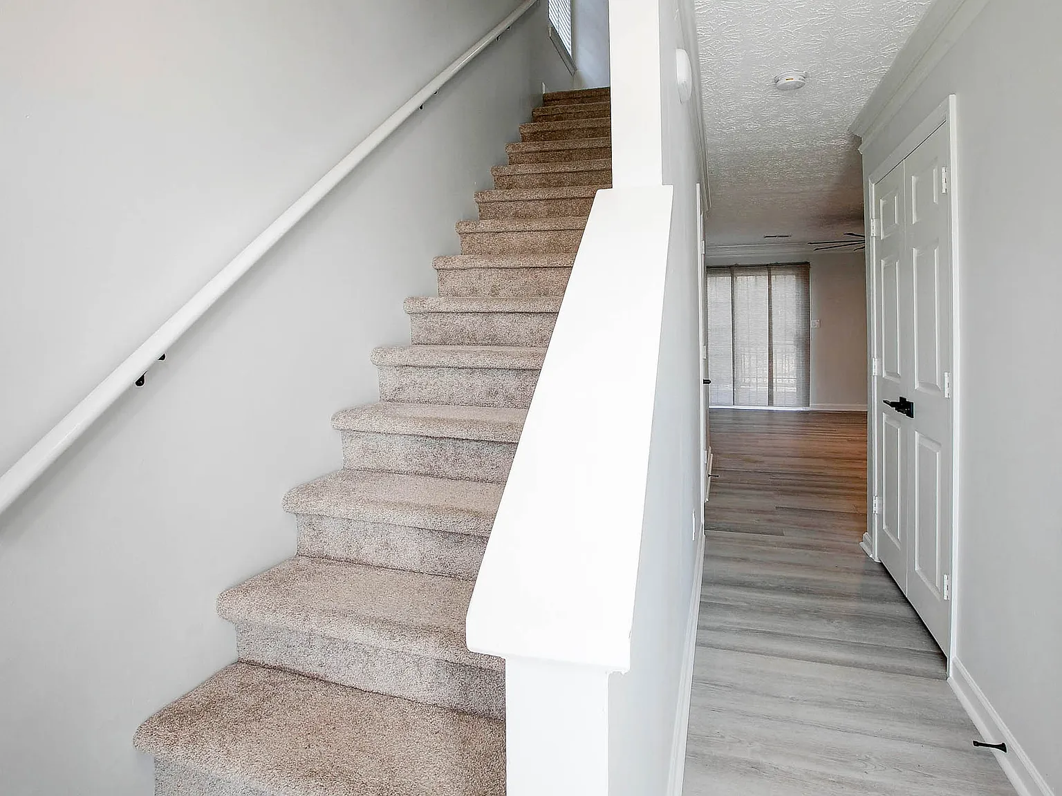 3834 Meadow Creek Dr — Photo 3